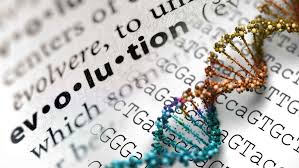 evolution marketing rosario sorondo